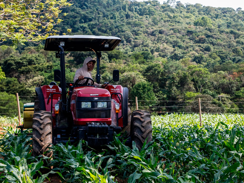 Consultoria nas diversas áreas do setor agropecuário
