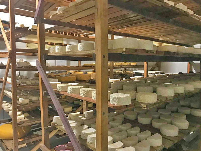 Regularização de agroindústrias